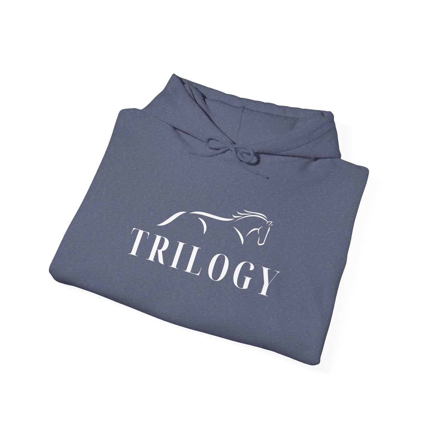 Trilogy Hooded Sweatshirt