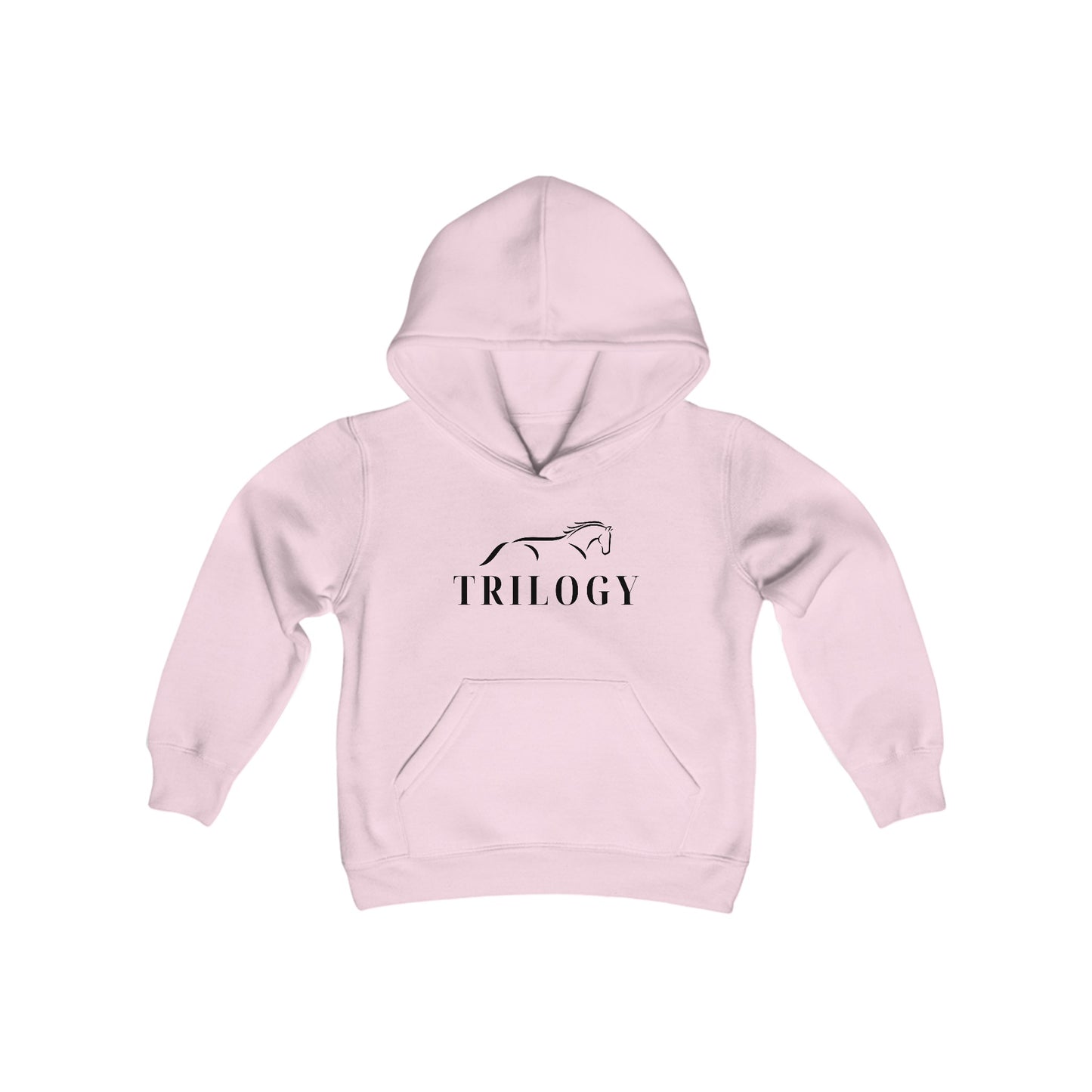 Youth Hooded Sweatshirt