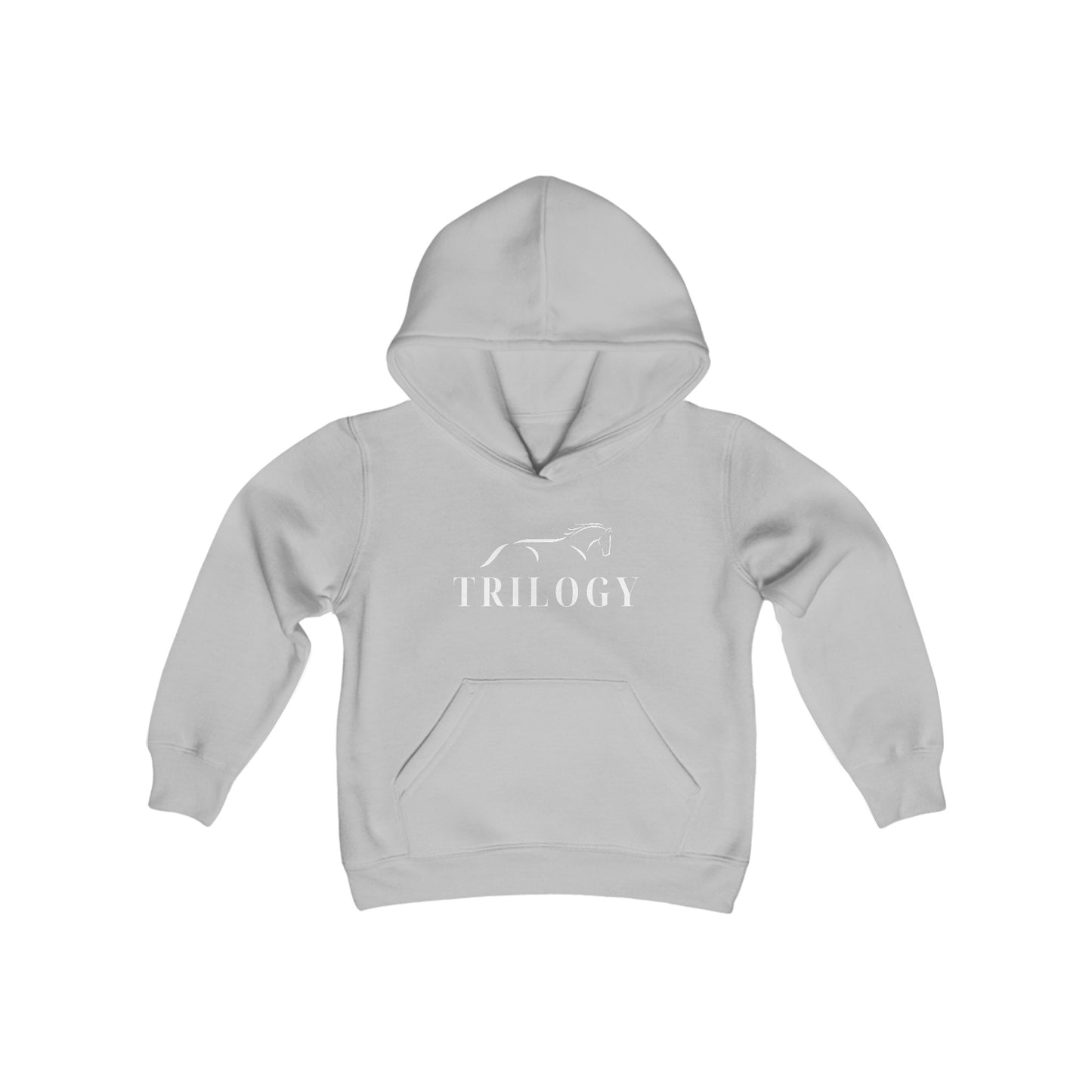 Youth Hooded Sweatshirt