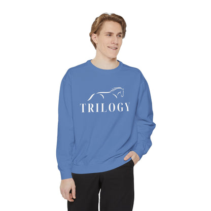 Comfort Colors Sweatshirt