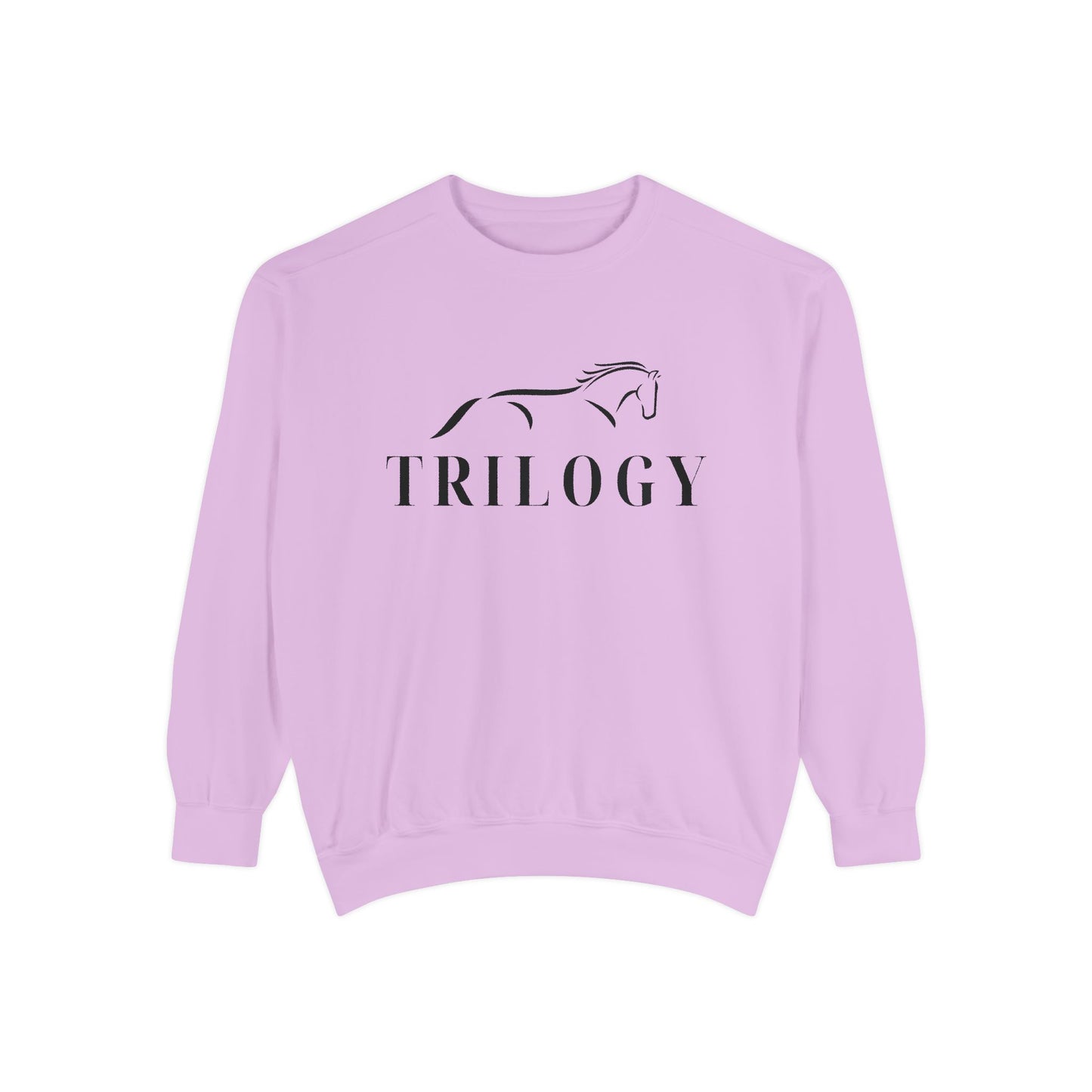 Comfort Colors Sweatshirt