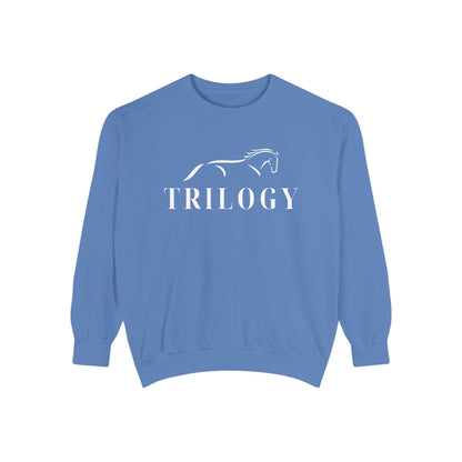 Comfort Colors Sweatshirt