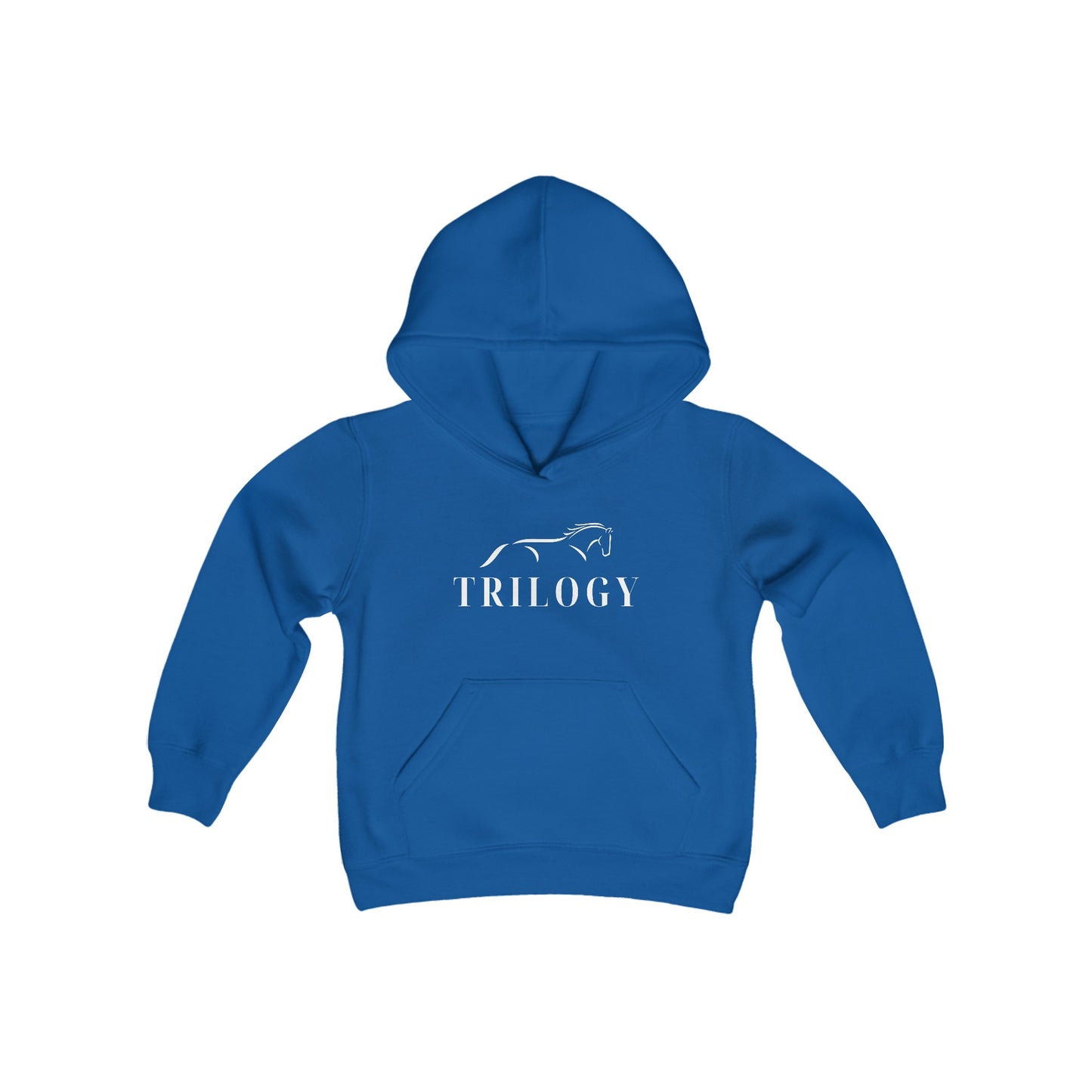 Youth Hooded Sweatshirt