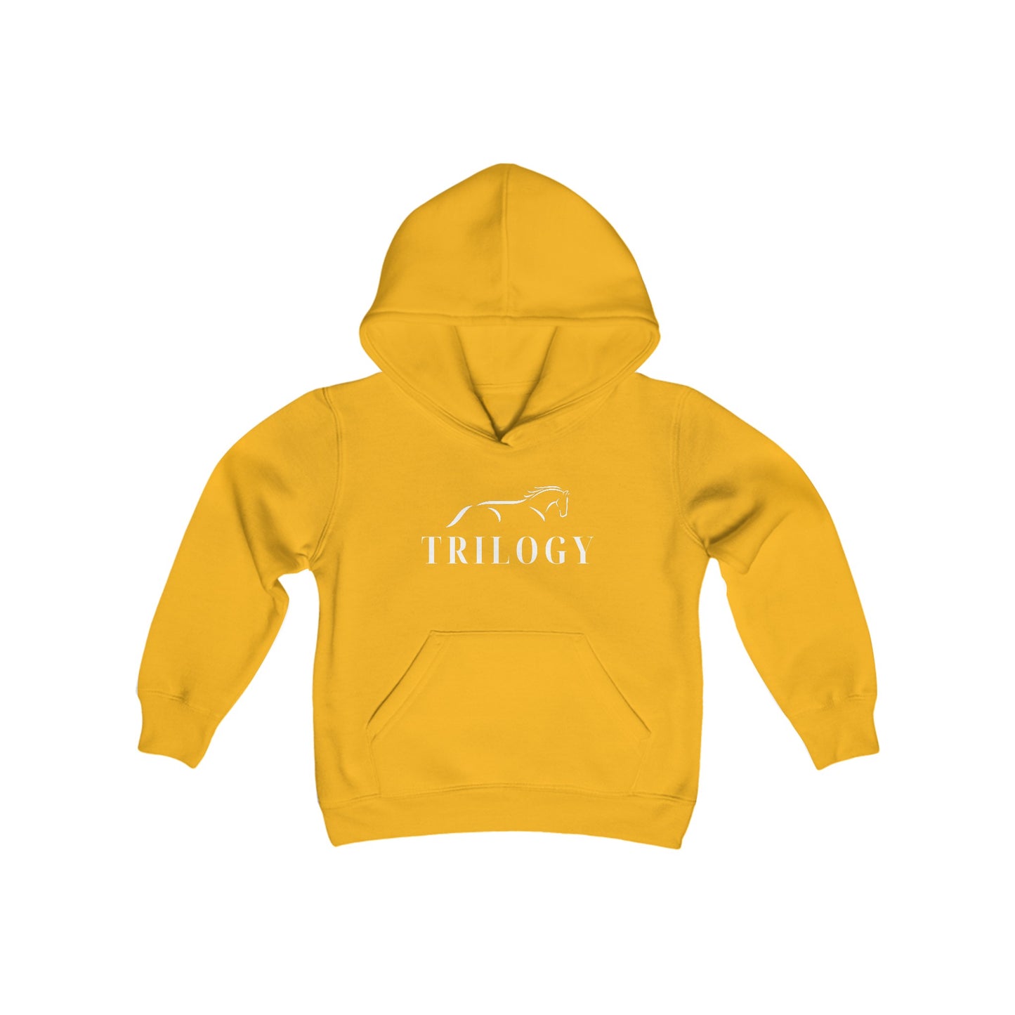 Youth Hooded Sweatshirt