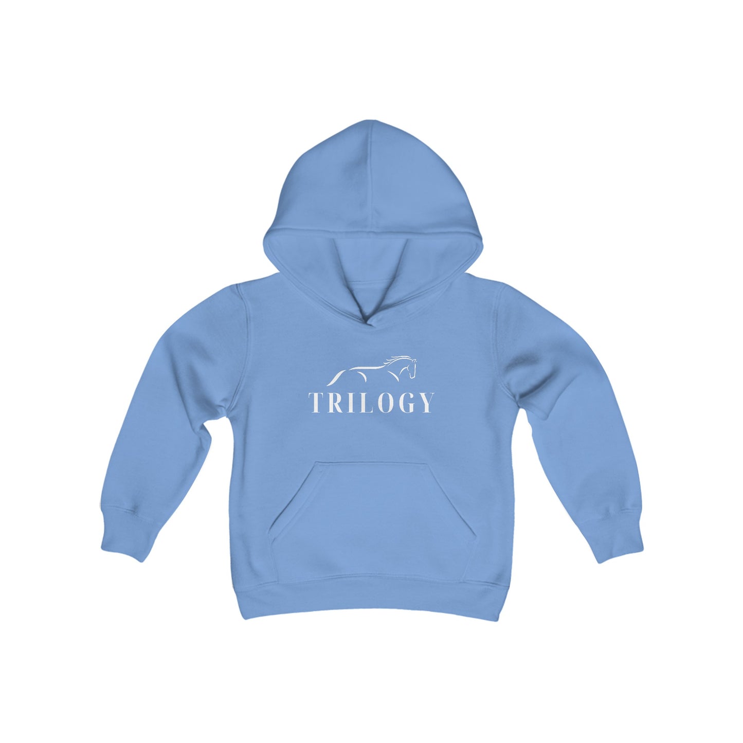 Youth Hooded Sweatshirt