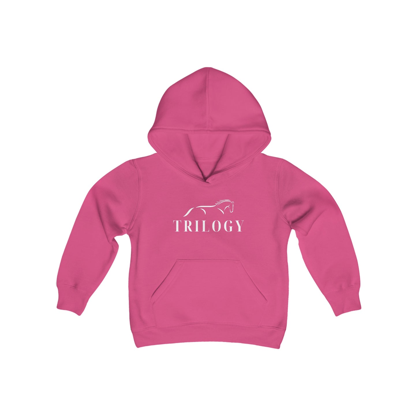 Youth Hooded Sweatshirt