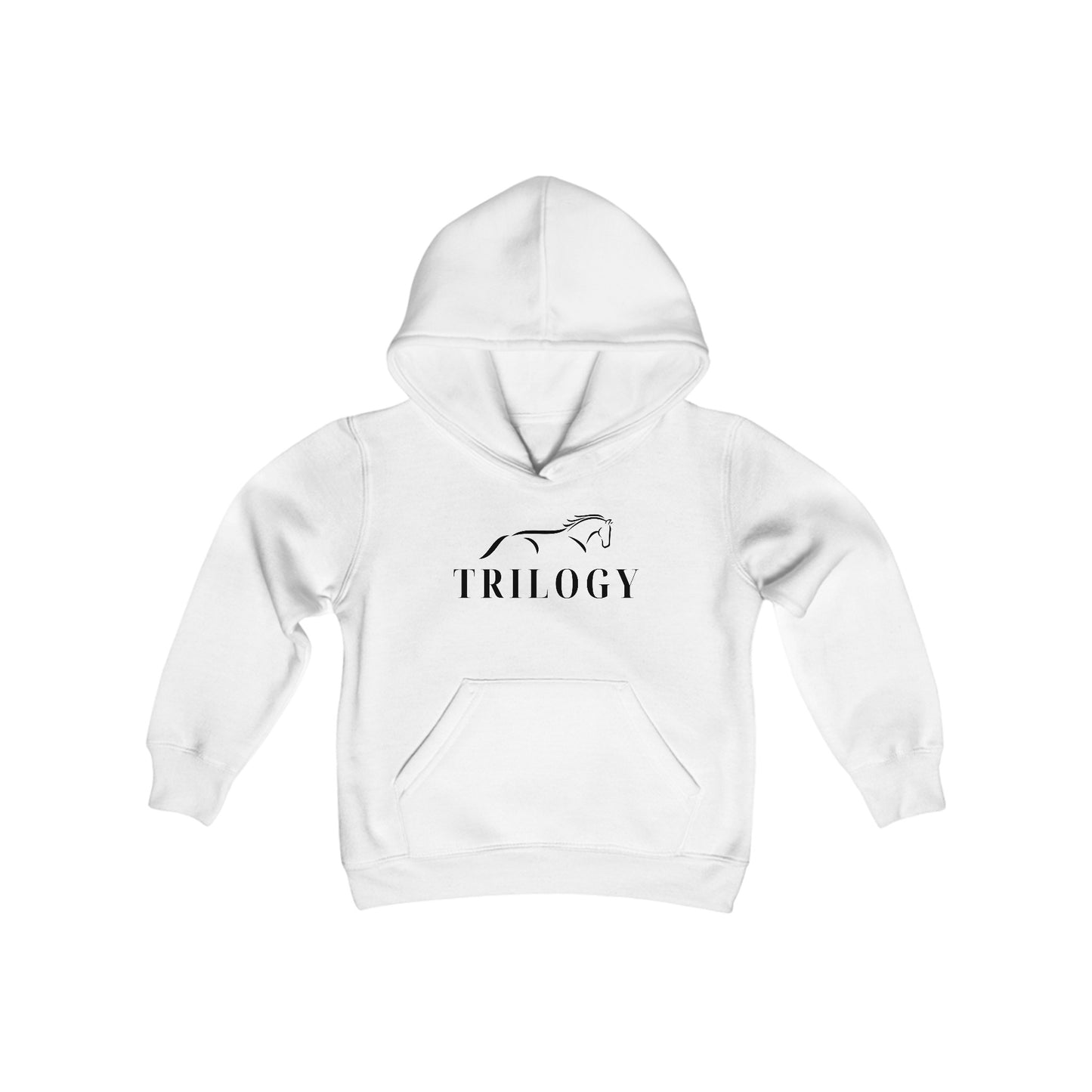 Youth Hooded Sweatshirt