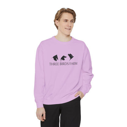 Three Birds Comfort Colors Sweatshirt